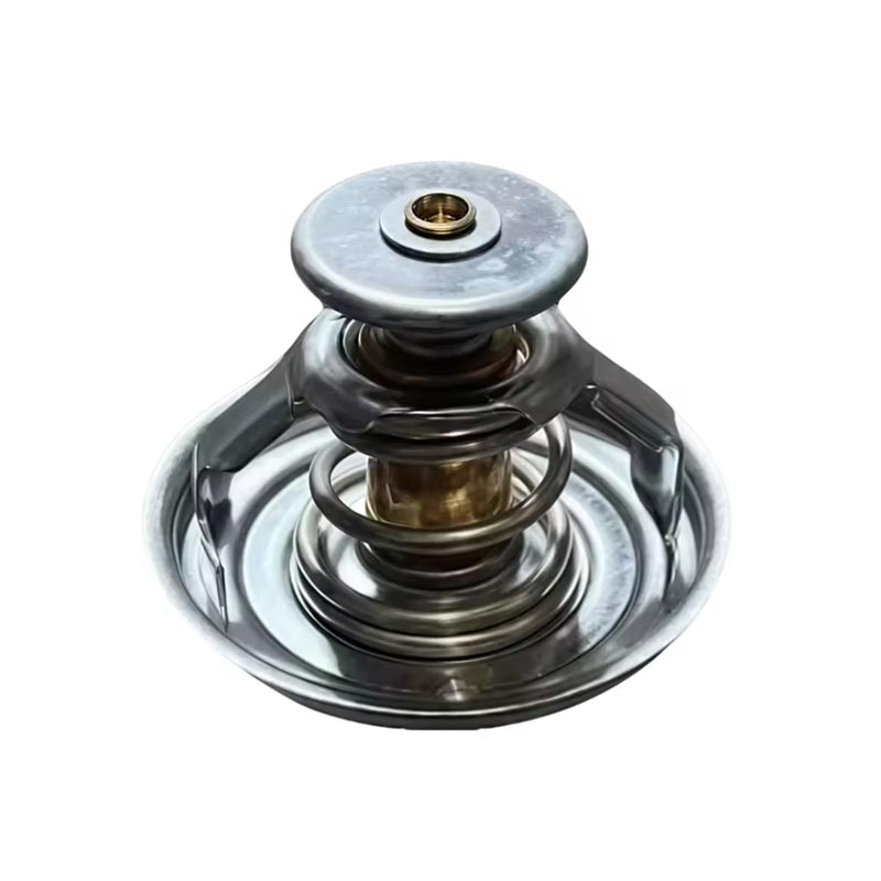 Rori Injini Thermostat 1000837830